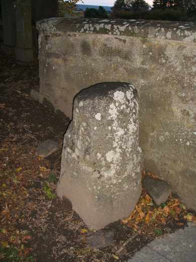 Photo of the Class I symbol stone at Birnie.