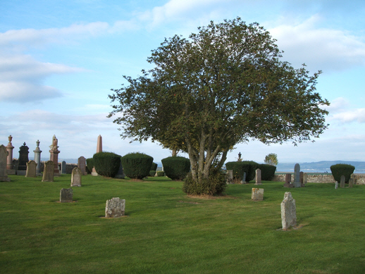 Second Photo of the graveyard at Brachelie