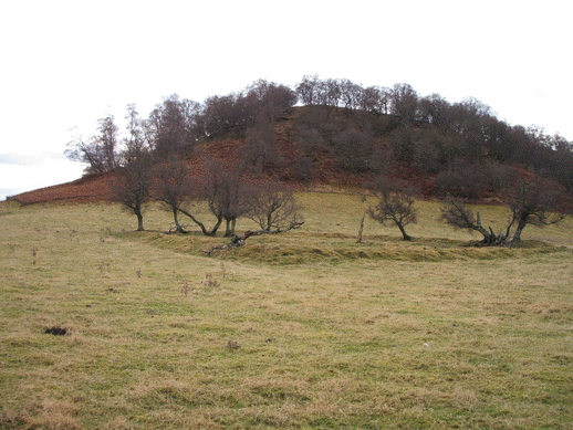 Photo of the Chapel site at Dunearn