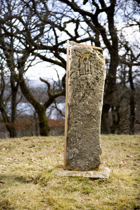 Picture of Dunachton Symbol Stone.