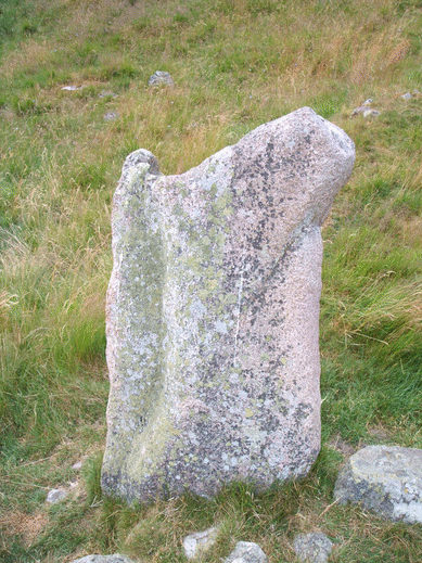 The Standing Stone at Rinabaich.