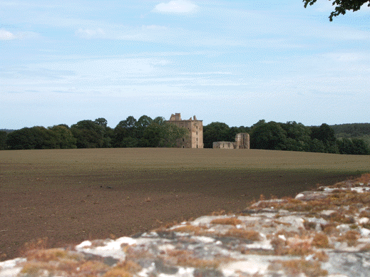 Looking north towards Spynie Palace.