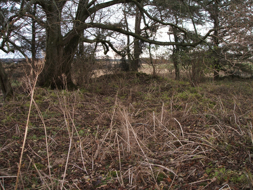 Photo of the church ruins at Dalcross