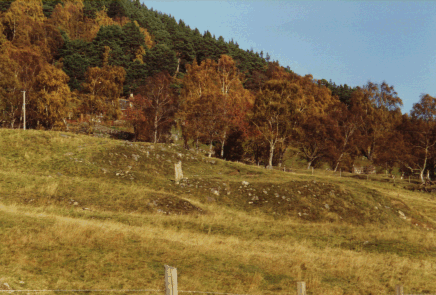 The site of St Manire's muinntir at Rinabaich.